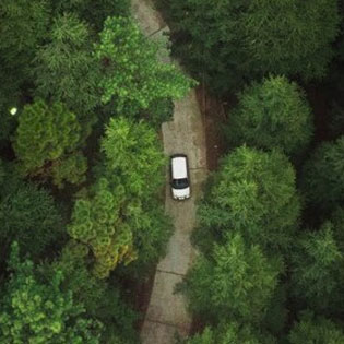 voiture sur une route de forêt